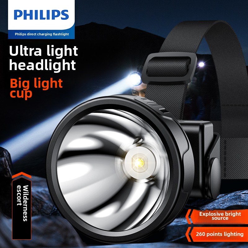 PHILIPS SFL1342 LED Headlamp S - Outdoor Lighting Philips recension och pris